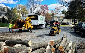 Artificial Turf Installation in Blasdell, NY